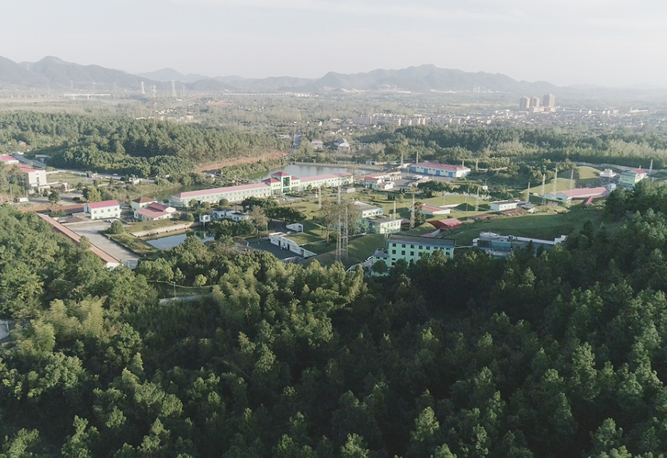 /uploads/image/2023/07/19/baede751048e19dad752ef487202220c.png blob.png