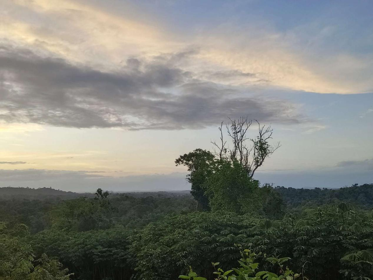 /uploads/image/2023/10/07/e5f3e43320339cff5b06cac1a457df64.png 2.png